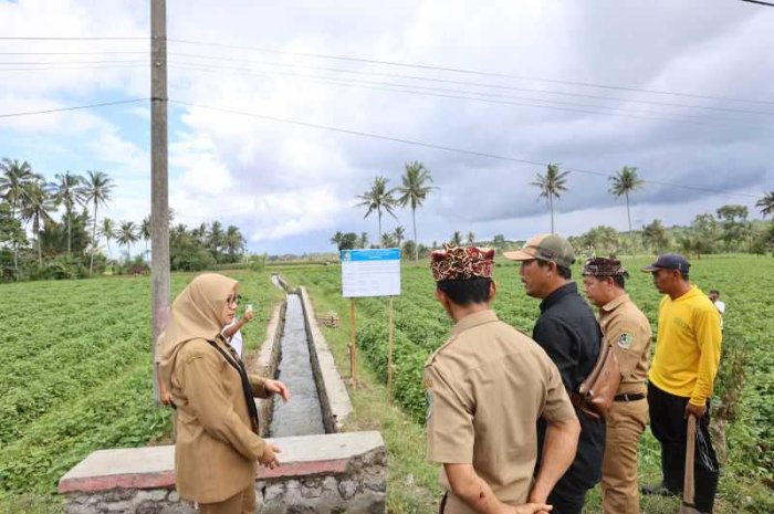 DPU Pengairan Banyuwangi dan HIPPA Bersatu Hadapi Tantangan Pangan