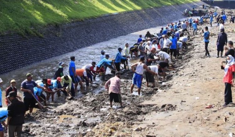 Petani di Banyuwangi Dukung Rencana Tanam Global untuk Meningkatkan Produktivitas Pertanian