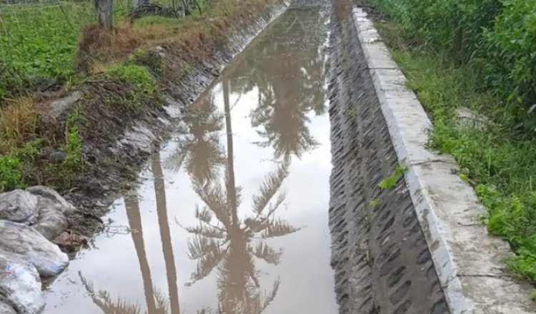 Dinas Pengairan Banyuwangi Tinjau Ketersediaan Air Menjelang Musim Tanam Ketiga
