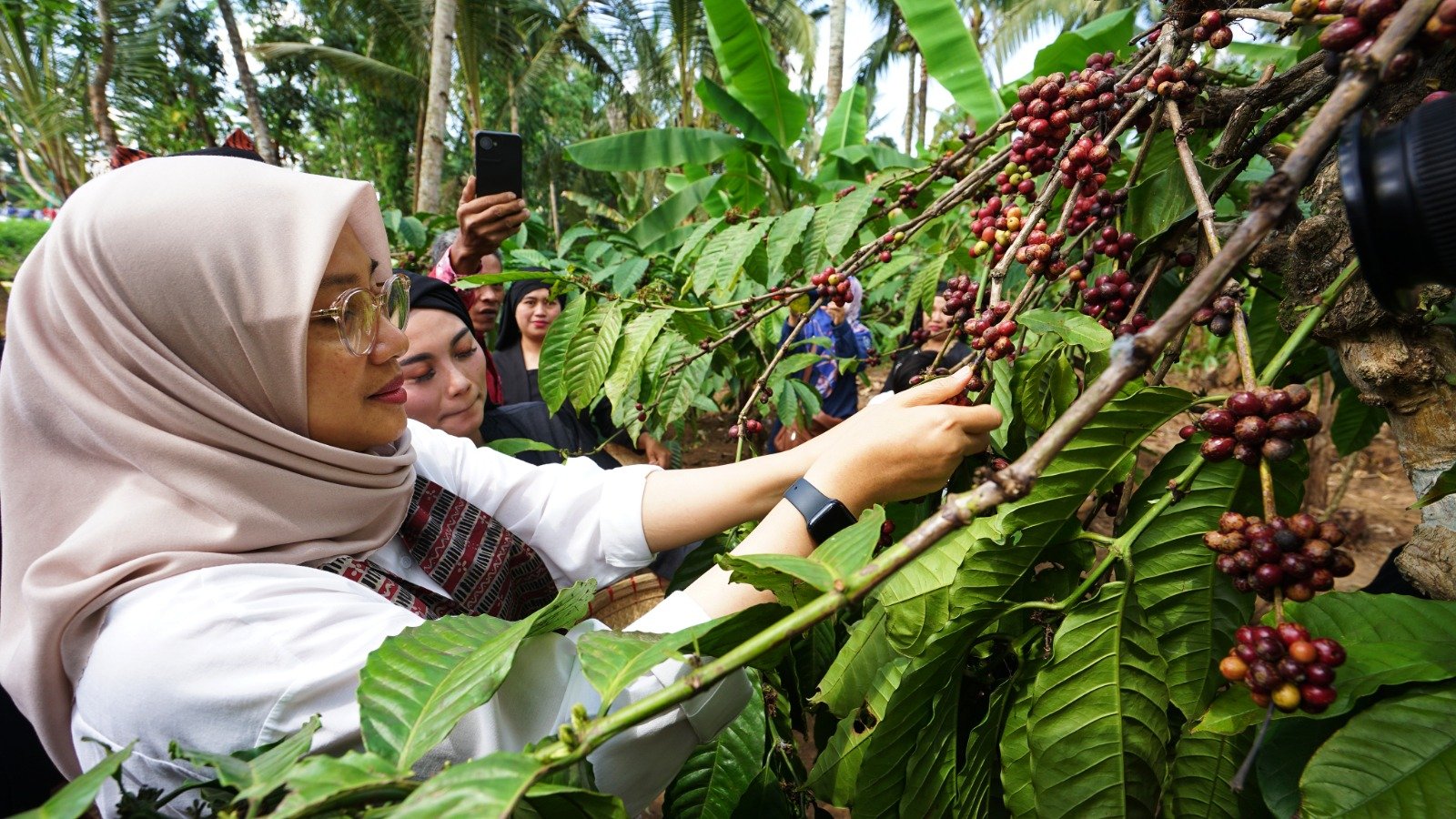 Kemenkumham Verifikasi Kopi Robusta Banyuwangi untuk Sertifikat IG