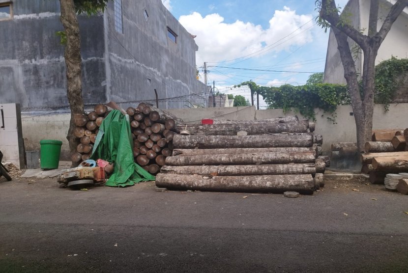 Polisi Sudah Kantongi Identitas Penjual Gelondongan Pohon Kelapa