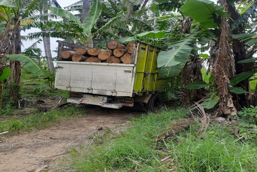 Lagi Perhutani Banyuwangi Selatan Amankan Kayu Jati 