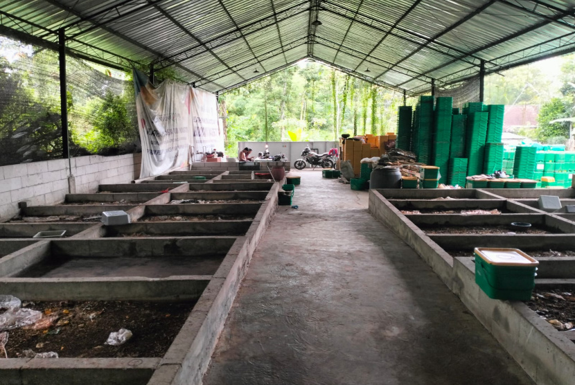 Keren, Kelompok PEGA Pesanggaran Diundang Cara Budidaya Maggot
