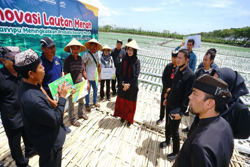 Light Trap, Solusi Ramah Lingkungan untuk Atasi Hama Bawang Merah