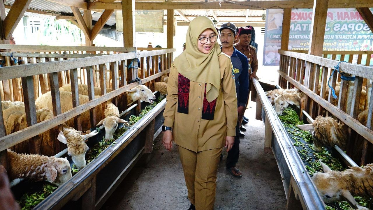 Kelompok Tani Sumber Rejeki Ubah Limbah Ternak Jadi Energi dan Pupuk