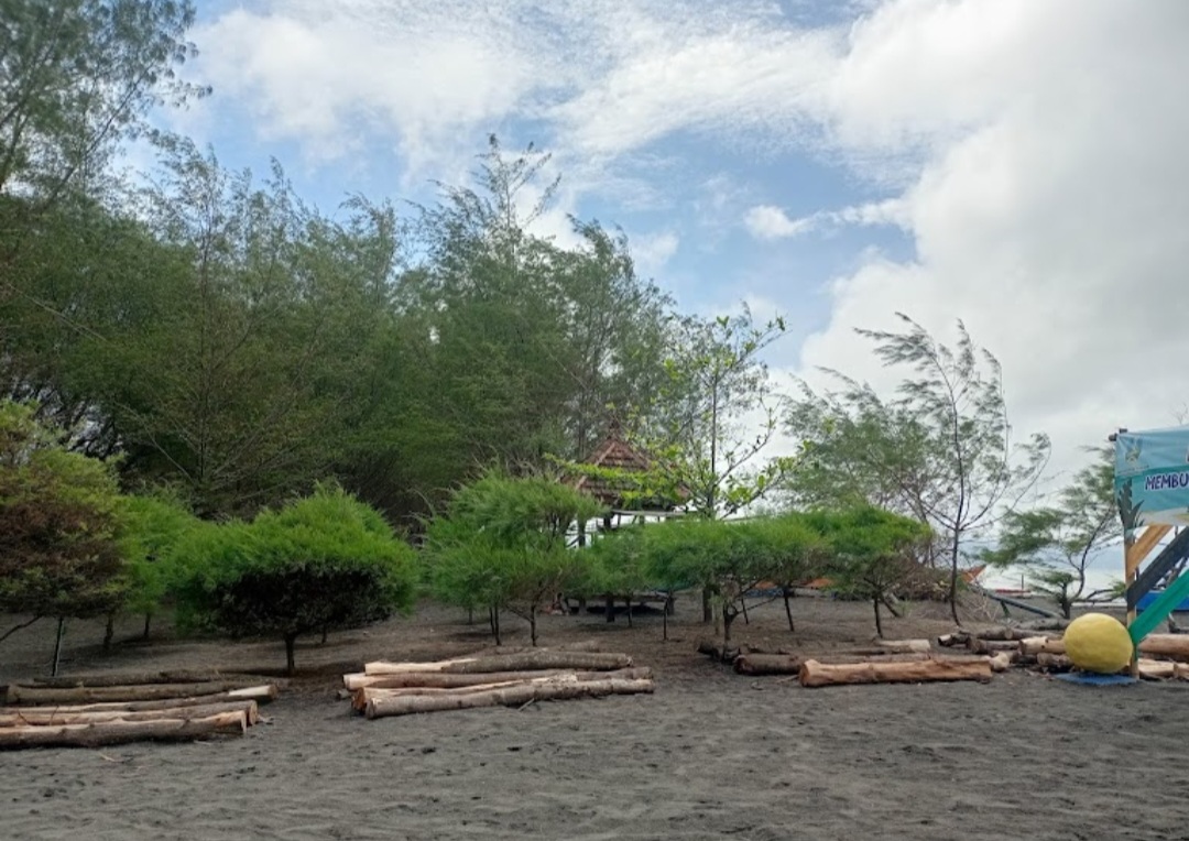 Pantai Cemara Banyuwangi Suguhkan Keindahan Alam dan Pelestarian Lingkungan